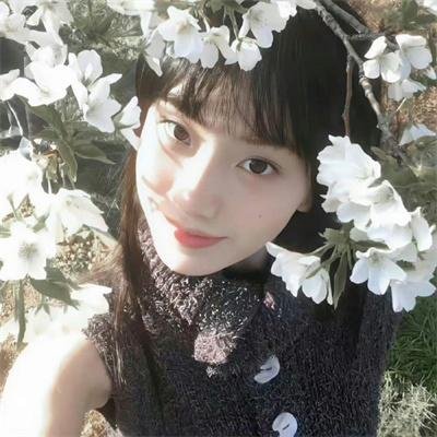 出墙红杏两家春